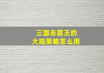 三国志霸王的大陆策略怎么用