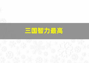 三国智力最高