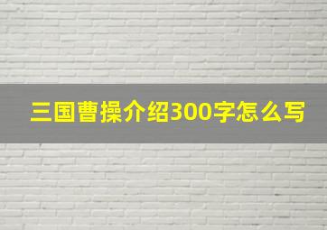 三国曹操介绍300字怎么写