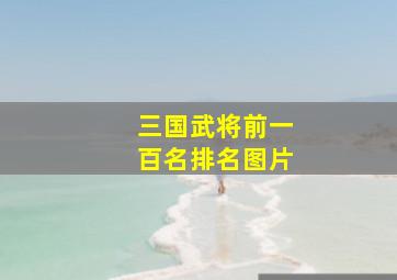 三国武将前一百名排名图片