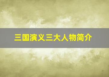 三国演义三大人物简介