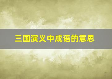 三国演义中成语的意思