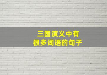 三国演义中有很多词语的句子