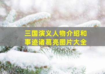 三国演义人物介绍和事迹诸葛亮图片大全