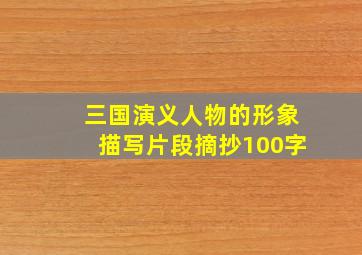 三国演义人物的形象描写片段摘抄100字