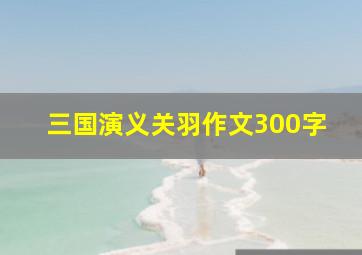 三国演义关羽作文300字