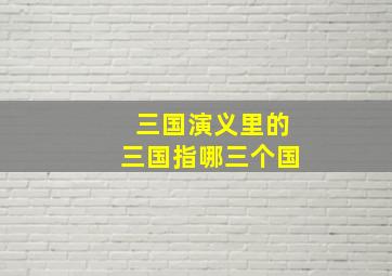 三国演义里的三国指哪三个国