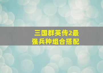 三国群英传2最强兵种组合搭配