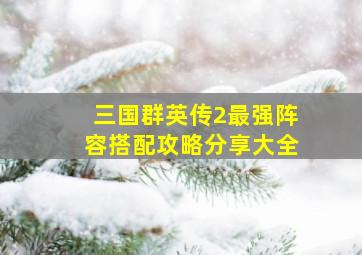 三国群英传2最强阵容搭配攻略分享大全