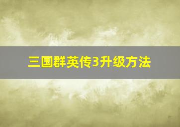 三国群英传3升级方法