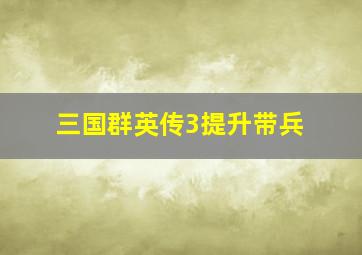 三国群英传3提升带兵