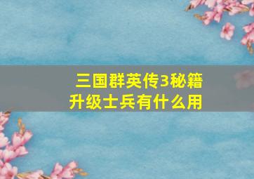 三国群英传3秘籍升级士兵有什么用