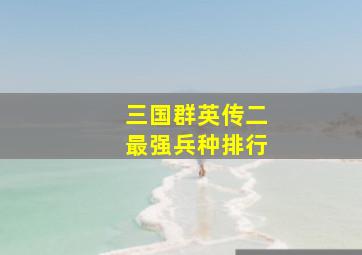 三国群英传二最强兵种排行