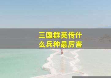 三国群英传什么兵种最厉害