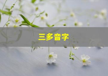 三多音字