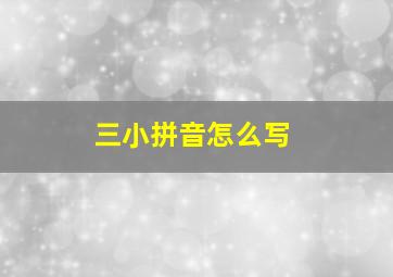 三小拼音怎么写