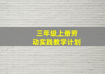 三年级上册劳动实践教学计划