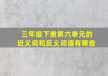 三年级下册第六单元的近义词和反义词语有哪些