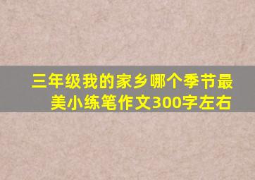 三年级我的家乡哪个季节最美小练笔作文300字左右