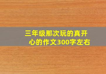 三年级那次玩的真开心的作文300字左右