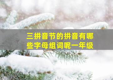 三拼音节的拼音有哪些字母组词呢一年级