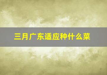 三月广东适应种什么菜