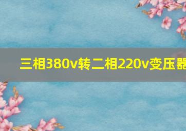 三相380v转二相220v变压器