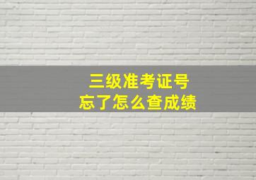 三级准考证号忘了怎么查成绩