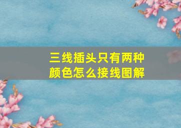 三线插头只有两种颜色怎么接线图解