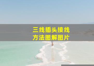 三线插头接线方法图解图片