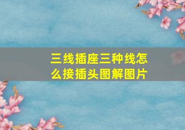 三线插座三种线怎么接插头图解图片