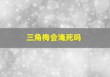 三角梅会淹死吗