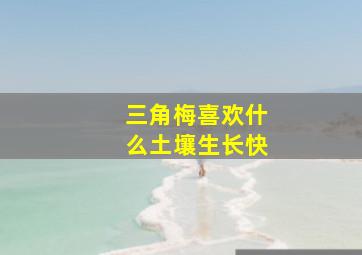 三角梅喜欢什么土壤生长快