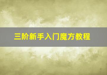 三阶新手入门魔方教程