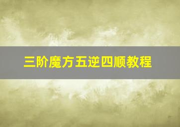 三阶魔方五逆四顺教程