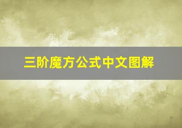 三阶魔方公式中文图解