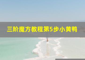 三阶魔方教程第5步小黄鸭