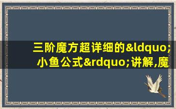 三阶魔方超详细的“小鱼公式”讲解,魔方爱好者必备