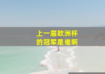 上一届欧洲杯的冠军是谁啊