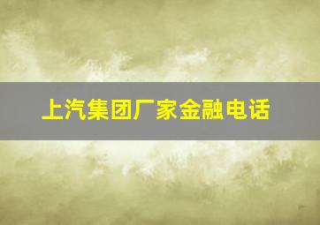 上汽集团厂家金融电话