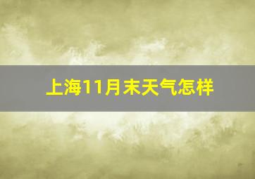 上海11月末天气怎样