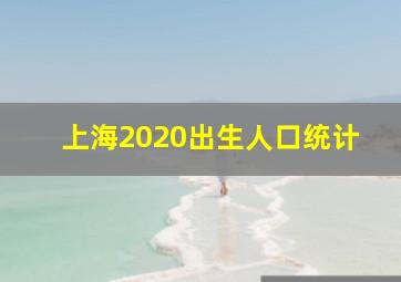 上海2020出生人口统计