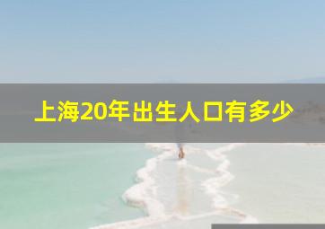 上海20年出生人口有多少