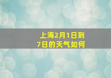 上海2月1日到7日的天气如何