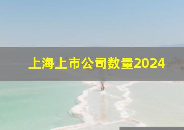 上海上市公司数量2024