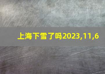 上海下雪了吗2023,11,6