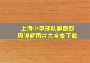 上海中甲球队解散原因详解图片大全集下载