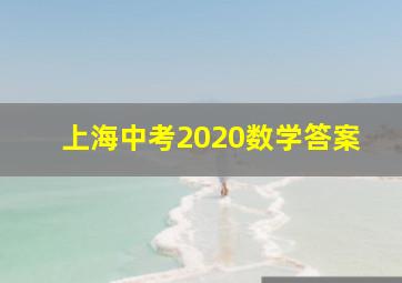 上海中考2020数学答案