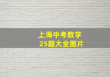 上海中考数学25题大全图片