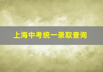 上海中考统一录取查询